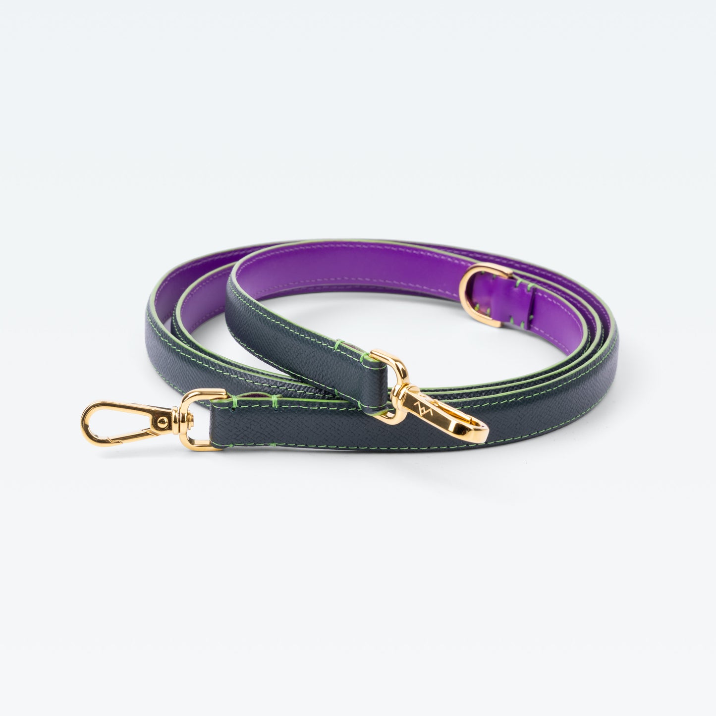 Cadogan Link Handle Lead in Vert Regent with gold hardware