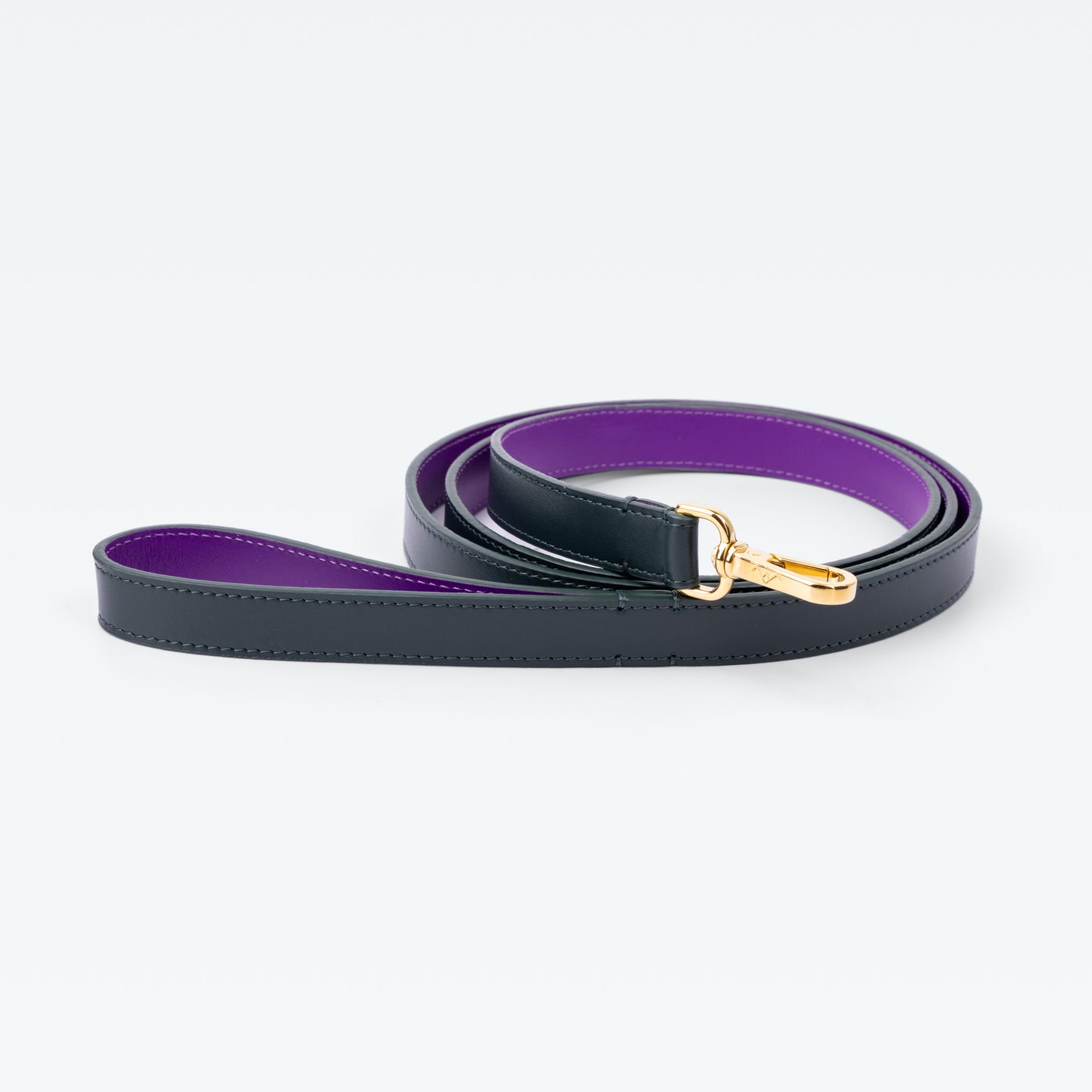 Grosvenor Loop Handle Lead in Vert Regent with gold hardware
