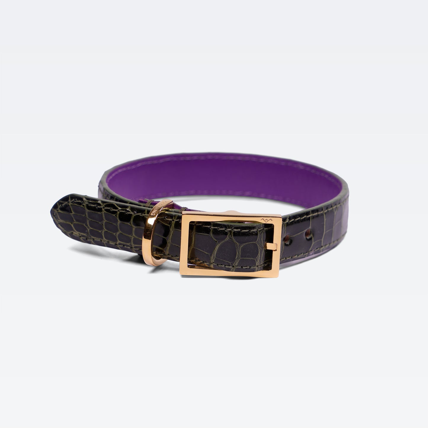 Cadogan Collar in Brompton on Alligator withhold hardware