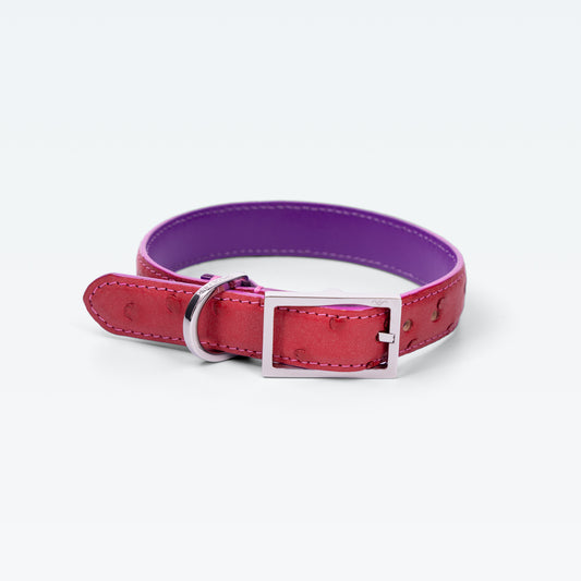 Cadogan Collar in English Rose on Ostrich with palladium hardware