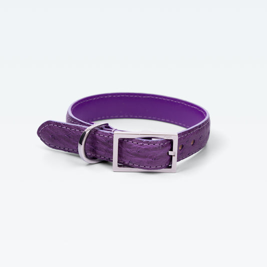 Cadogan Collar in Royal Violet on Ostrich with palladium hardware