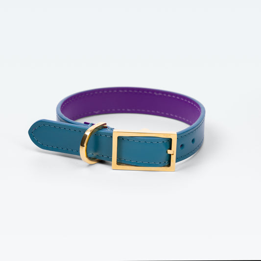 Grosvenor Collar in Celeste with gold hardware
