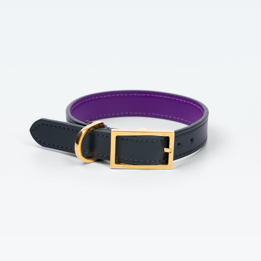 Grosvenor Collar in Vert Regent with gold hardware