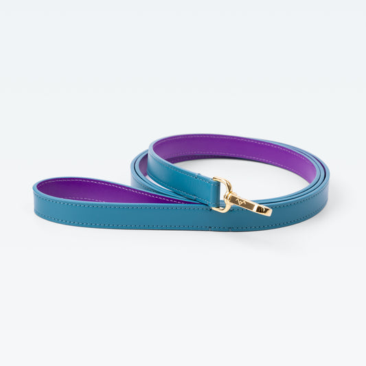 Grosvenor Loop Handle Lead in Celeste with gold hardware